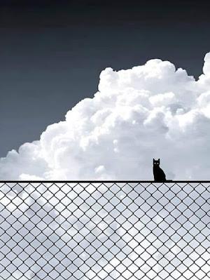 ¿Por qué eligió Pedro Sánchez aliados para reconocer Palestina?