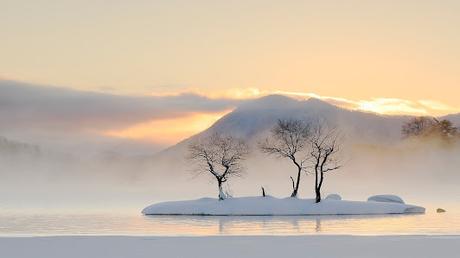 LO QUE EL SILENCIO PROCLAMA