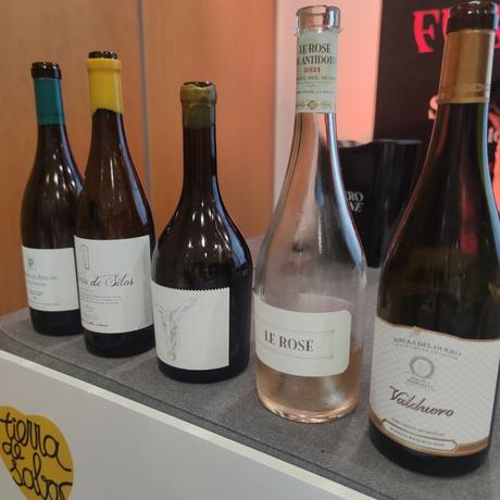 Duero Wine Fest 2024 Salamanca 15 y 16 de Abril Parte I