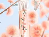 Perfume “Flower Ikebana Mimosa” KENZO
