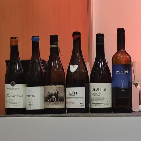 Duero Wine Fest 2024 Salamanca 15 y 16 de Abril Parte II