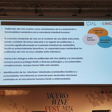 Duero Wine Fest 2024 Salamanca 15 y 16 de Abril Parte II