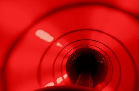 Amazon desde Dentro. Entrevista a Josefina L. Martínez