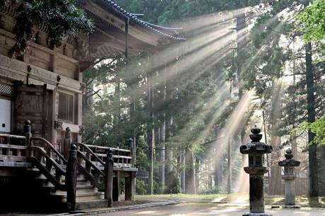Qué ver en Koyasan: Guía de turismo en la ciudad sagrada japonesa
