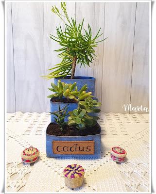 MACETERO PARA CACTUS