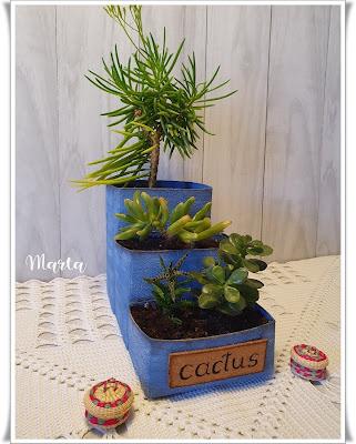 MACETERO PARA CACTUS