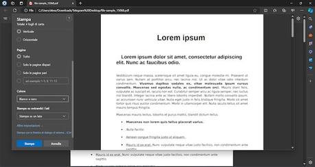 Cómo imprimir en blanco y negro