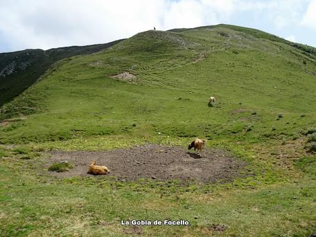 Genestoso-El Cogoḷḷu Ceboḷḷéu-El Cabril