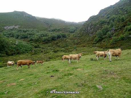 Genestoso-El Cogoḷḷu Ceboḷḷéu-El Cabril