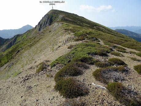 Genestoso-El Cogoḷḷu Ceboḷḷéu-El Cabril