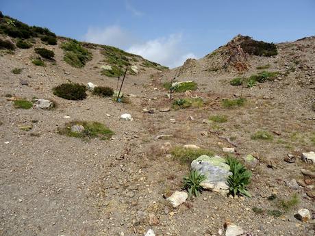 Genestoso-El Cogoḷḷu Ceboḷḷéu-El Cabril