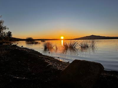 FISIOPATOLOGÍA, HERMENÉUTICA Y POESÍA.     PATHOPHYSIOLOGY, HERMENEUTICS AND POETRY.      病理生理学、诠释学和诗歌