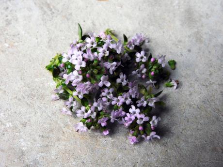 Colección de flores. Colección de flores.