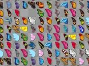 Juego Butterfly Kyodai material imprimible para colorear mariposas