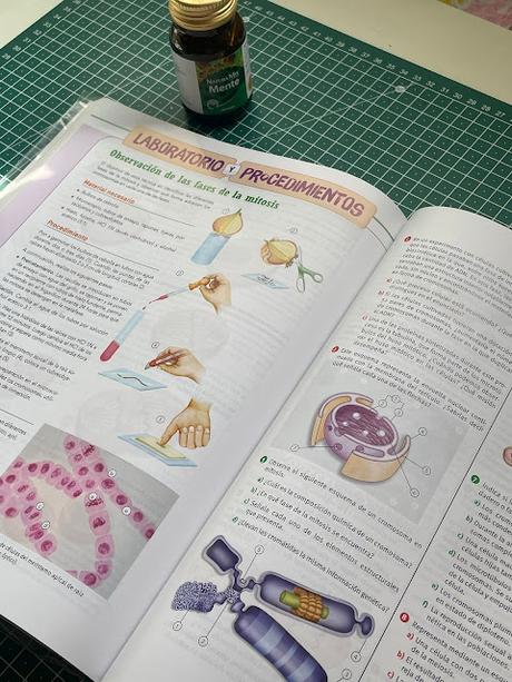 💚 Natura Mix Advanced Mente de Aboca 💚