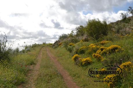 Entre Casas de Reina y Reina