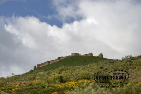 Entre Casas de Reina y Reina