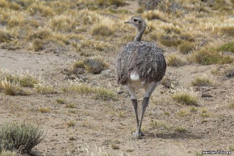 Pasando por el Lago Cardiel