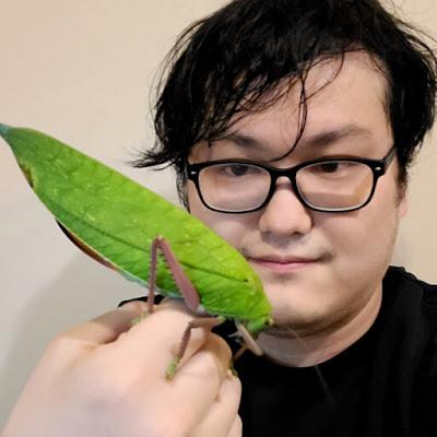 Los mundos prehistóricos de Do-yoon Kim