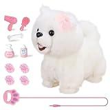 RuiDaXiang Perro de Juguete de Peluche con Correa y Mando a Distancia, Perro de compañía Interactivo y Realista con Accesorios, para niños y niñas de 3 a 6 años