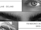 #TrendingTopic formas peinar cejas para estar moda este 2024.