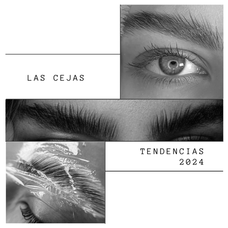 Emplumadas microblading