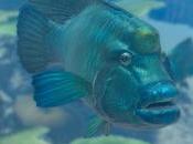 Endless Ocean Luminous bueno gusta