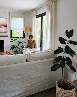 Plantas de Interior en mi Living