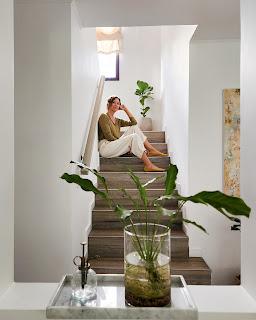 Plantas de Interior en mi Living