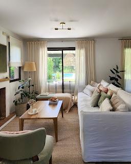 Plantas de Interior en mi Living