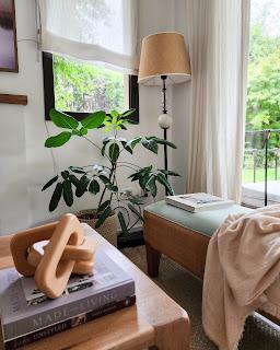 Plantas de Interior en mi Living