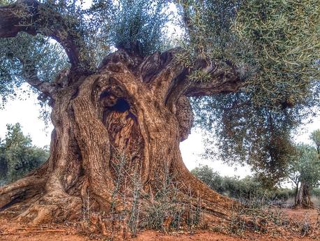 Descanso y Diversión: Vacaciones de Camping en Salou