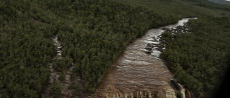 Serranía del Chiribiquete