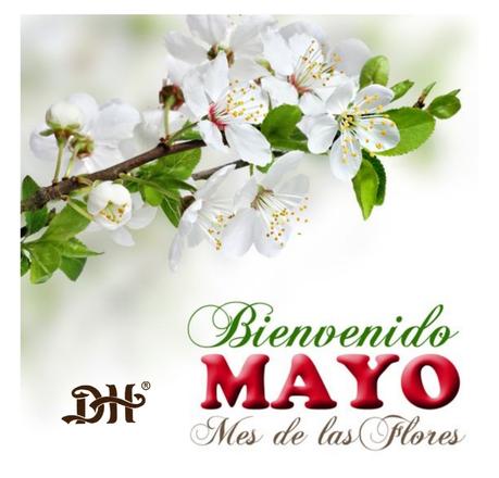 🌹 - Mayo, mes de las Flores.