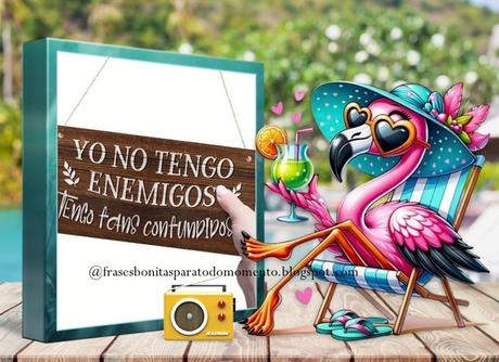 Yo no tengo 👉enemigos.👈Tengo fans confundidos.
