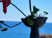 Padre (María Gabriela Díaz Gronlier).