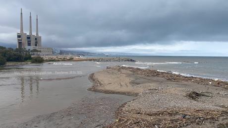 La desembocadura un oasis para las aves tras la tormenta