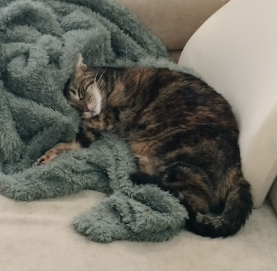 Extracto de EL MUNDO DE LA LÍNEA INFINITA: Menganita (3).