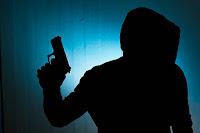 Un animal salvaje de Joël Dicker