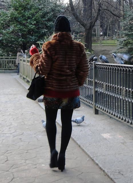 ALEGRANDO EL  INVIERNO