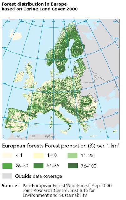 La importancia de los bosques