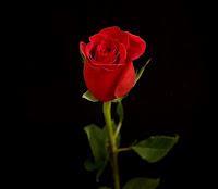 Regalo San Valentín Chicas