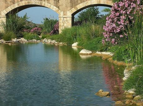 Actividades del 1 al 5 de febrero de 2012