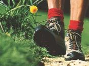 Hacia turismo sostenible: entre retórica realidad