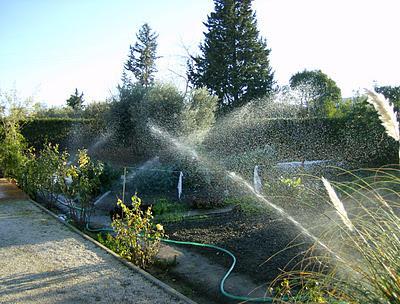 LOS TRABAJOS DE ENERO
