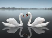 ejemplos sorprendentes fotografía reflectante (inspiración)