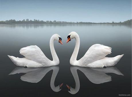 50 ejemplos sorprendentes de fotografía reflectante (inspiración)