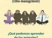 Book–Trailer «Animaladas»