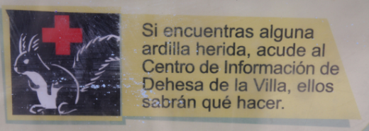 Ardillas radiactivas