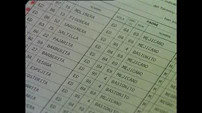 ¿Sigue corriendo la sangre de Bastonito?